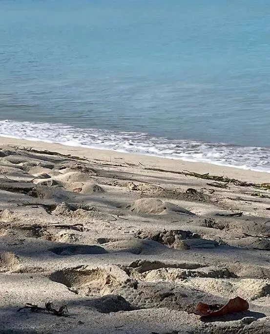 Luxury 4Br For 14-& Jacuzzi 6 Min Beach & Airport سان خوان